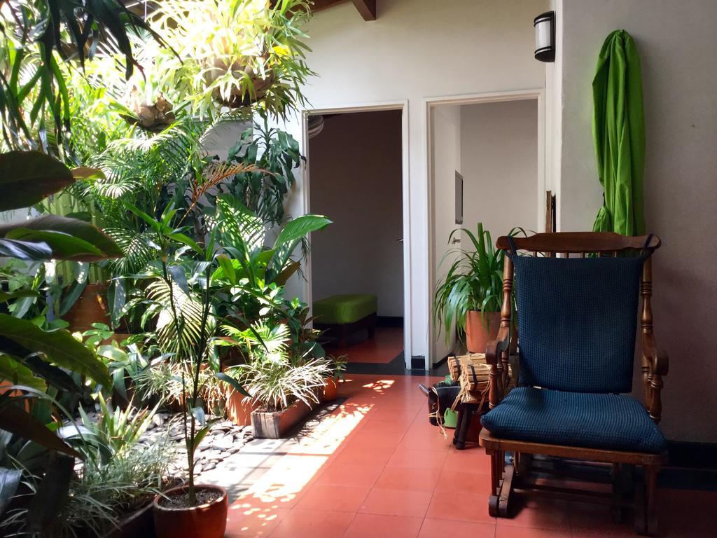 Saman Hostel Medellin Exterior photo
